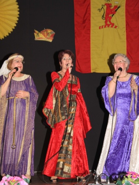 Ball der Narren 2009  109.jpg